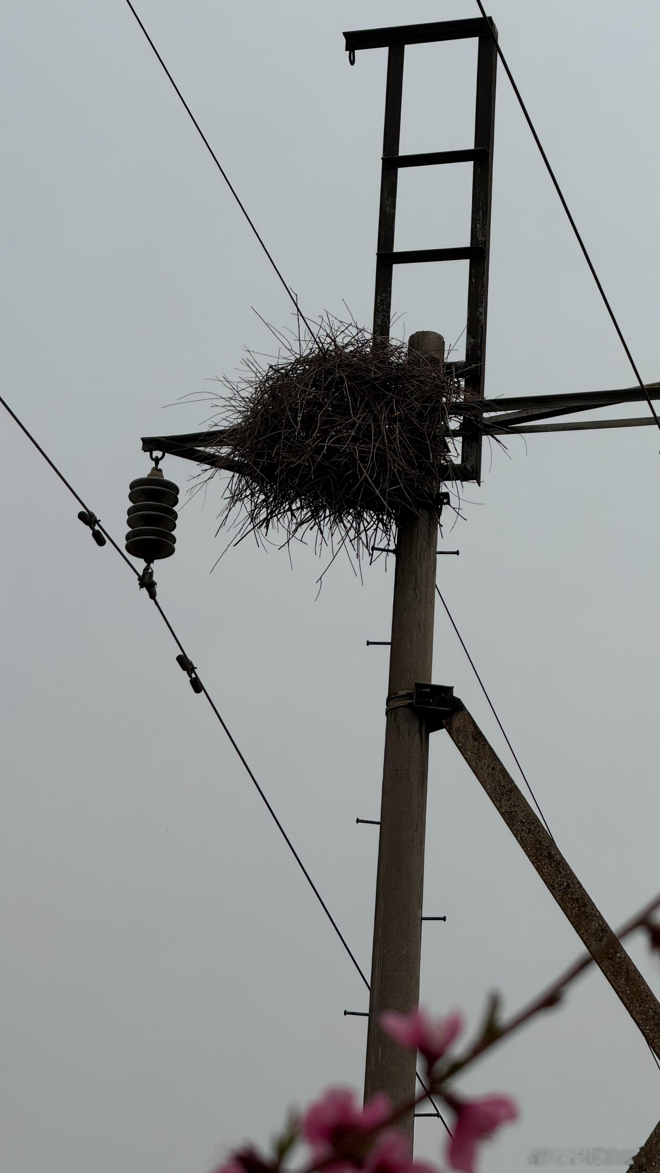 你的危险区可能是别人的舒适区，所以适合自己的才是最好的 