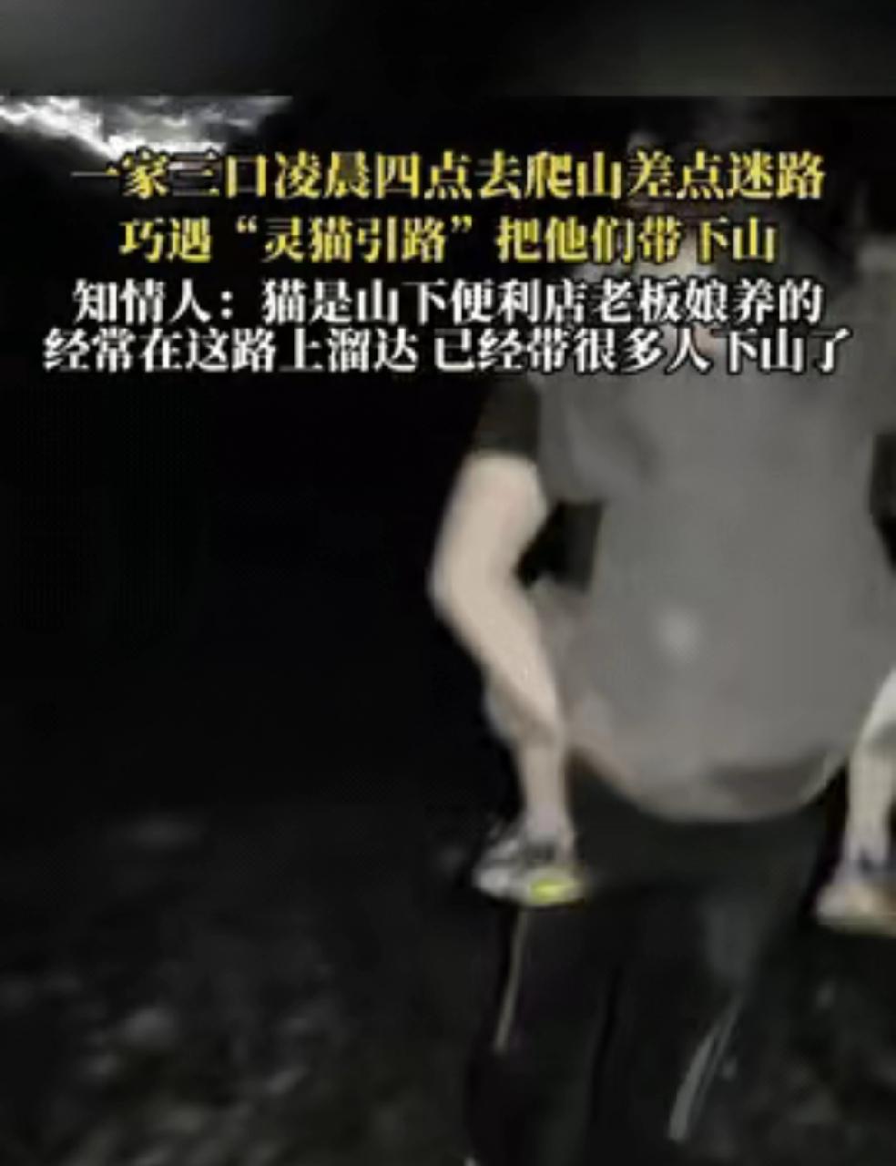 “彻底解释不清了！”

一家三口凌晨四点去爬山，结果天黑路况又不熟在山上迷路了。