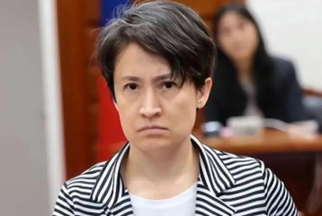 萧美琴在德国媒体面前喊“防战”？这话说得也太没良心了，分明是把全世界当傻子骗！