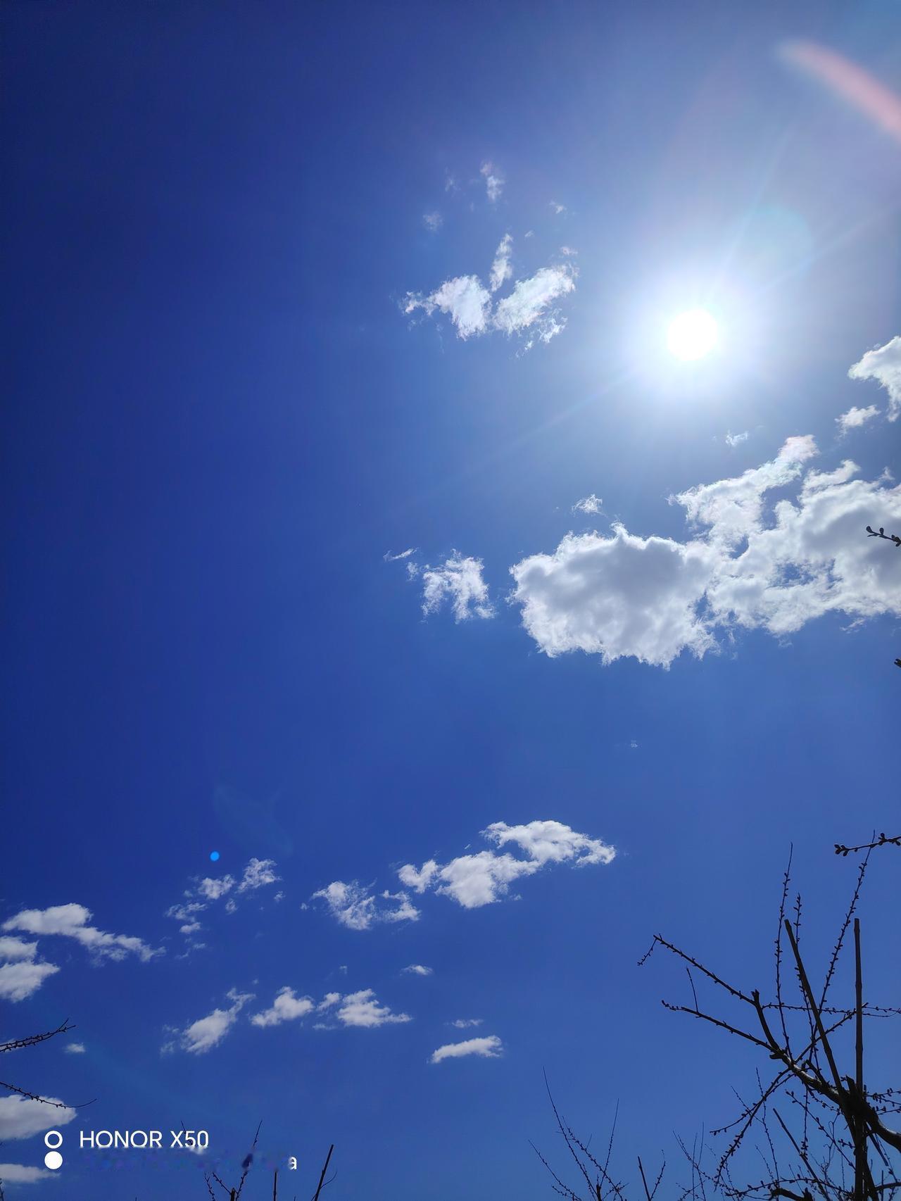 蓝天白云下的枯枝，静待春天的到来。