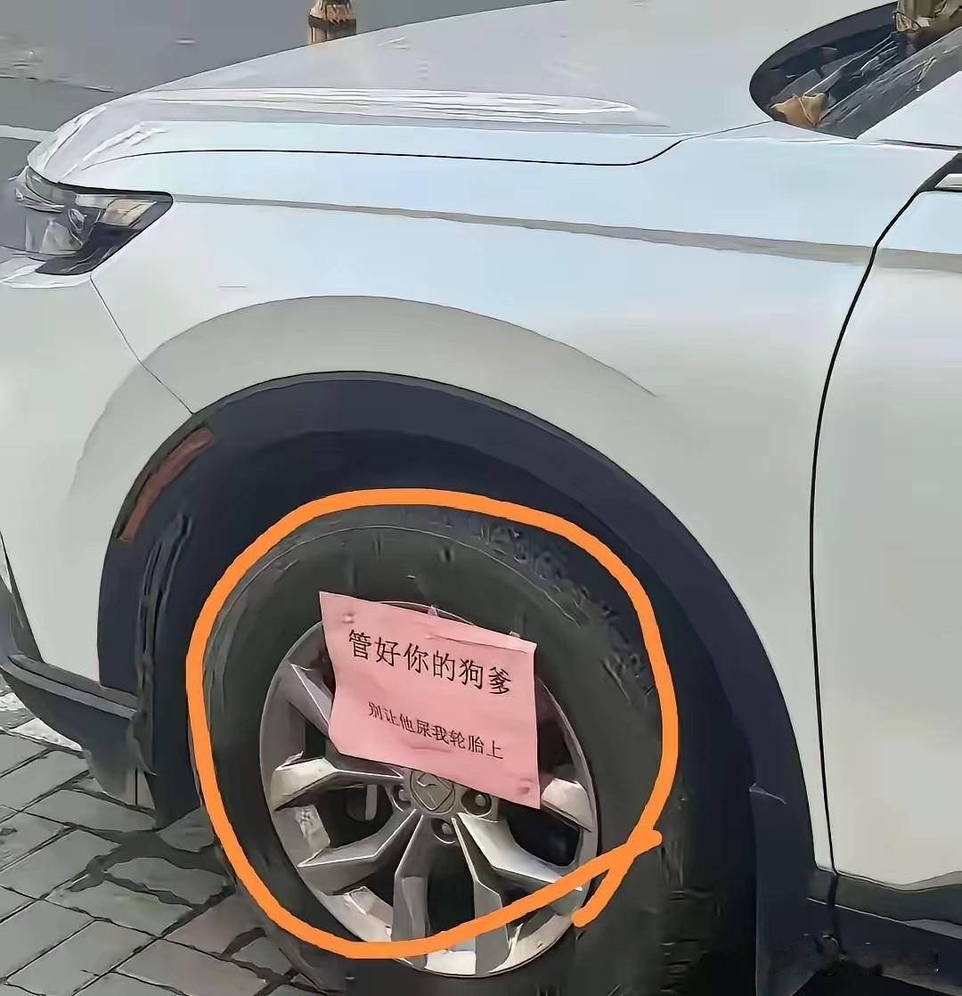 小区里一辆车的玻璃上被人夹了张纸条，上头写着："管好你的狗爹，别让它尿在我的轮胎