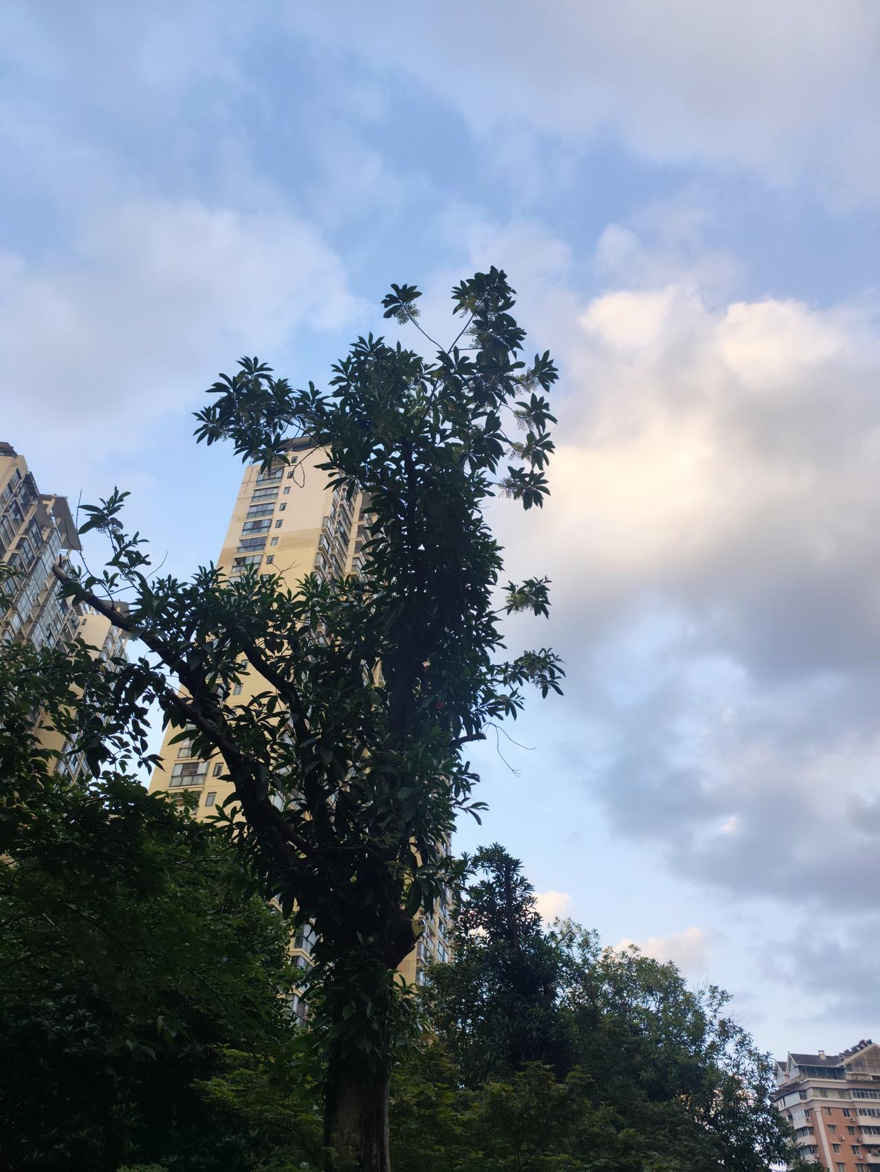 造假的出发点，就是投机取巧为了名利双收，因此，必须要从名和利两个方面进行双重处罚