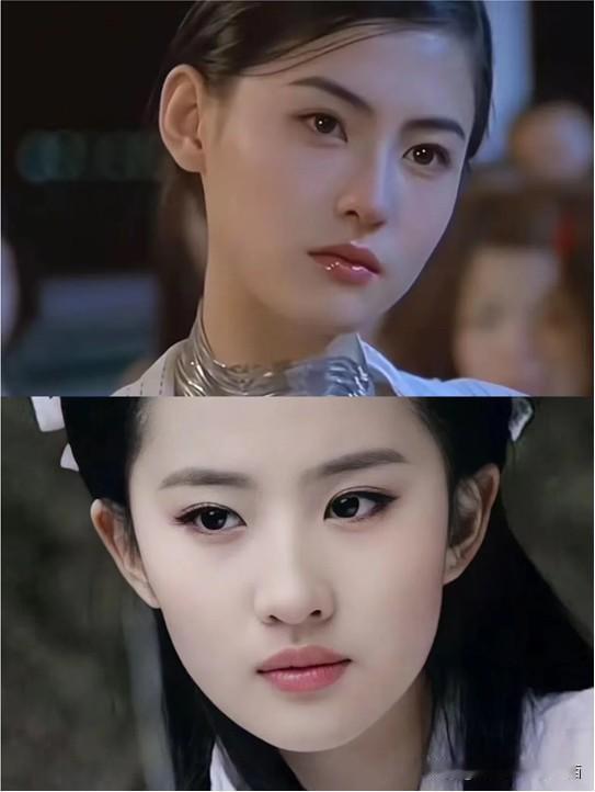 其实这样认真看，张柏芝的颜值才是完美无缺的，比刘亦菲有魅力多了。张柏芝的五官更加