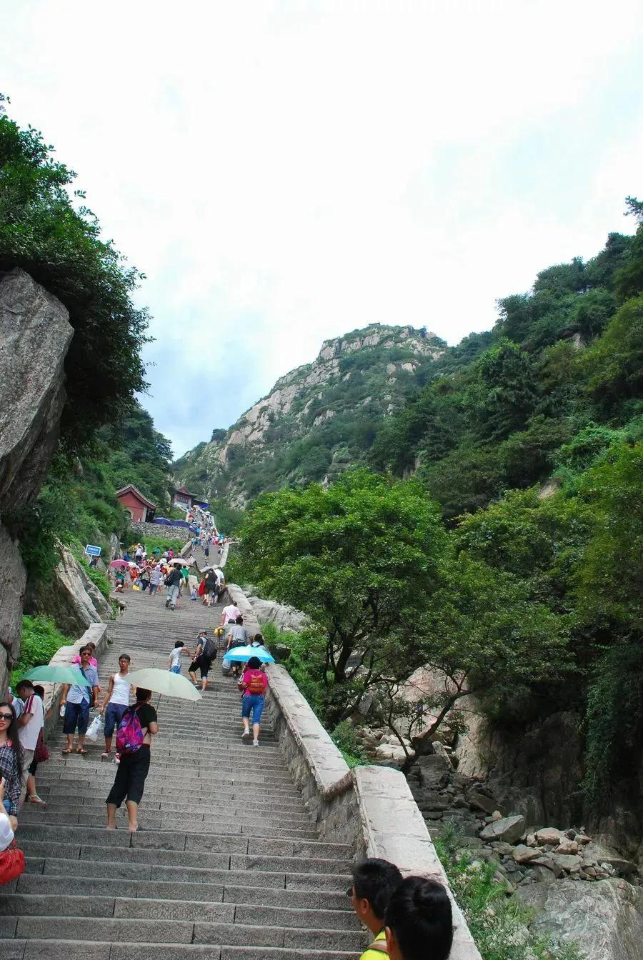 《登泰山记》
泰山登云记：十八盘踏碎星河，玉皇顶丈量天地，此生必赴的人间朝圣
