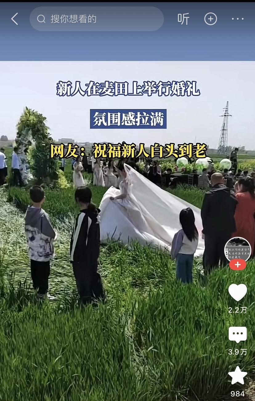 我的老家种两季水稻，吃大米基本不吃面食，二季稻收割后，水田空闲下来就撒麦子，麦苗