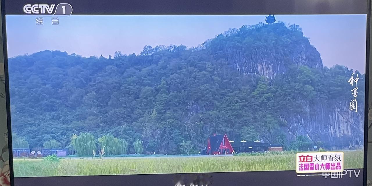 强烈谴责电视剧剧名狂草