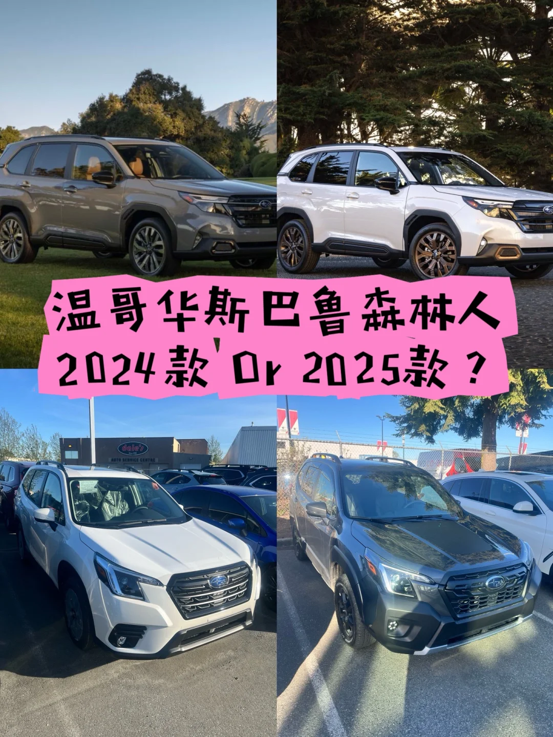 温哥华斯巴鲁森林人入2024款还是等2025？