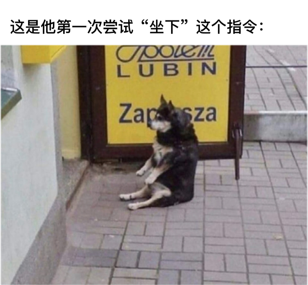 挺标准的#今日memes##我的幽默搭子##定格# ​​​