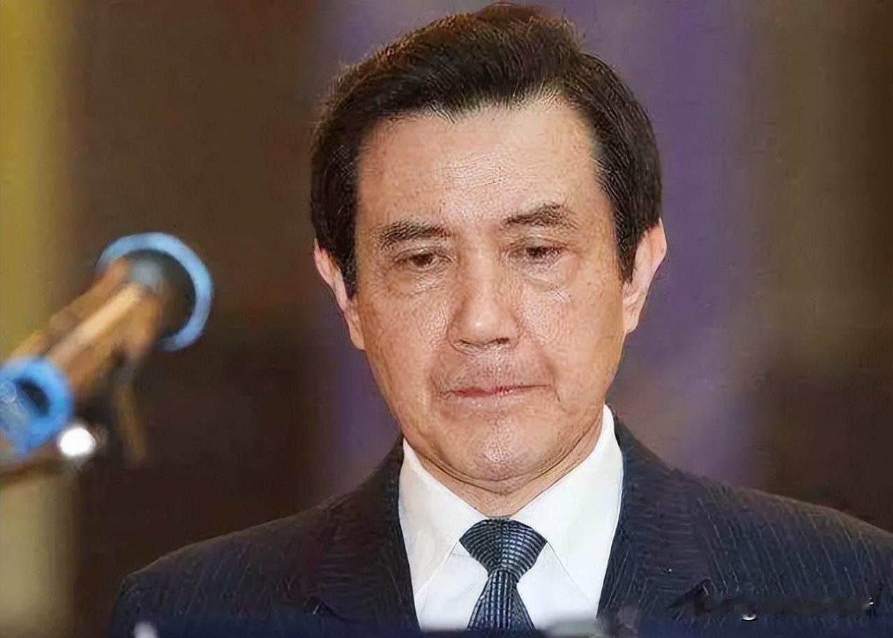 马英九在这样的会场上哭的缘故主要有两点：一是有生之年，自己的执政理念，终于后续有