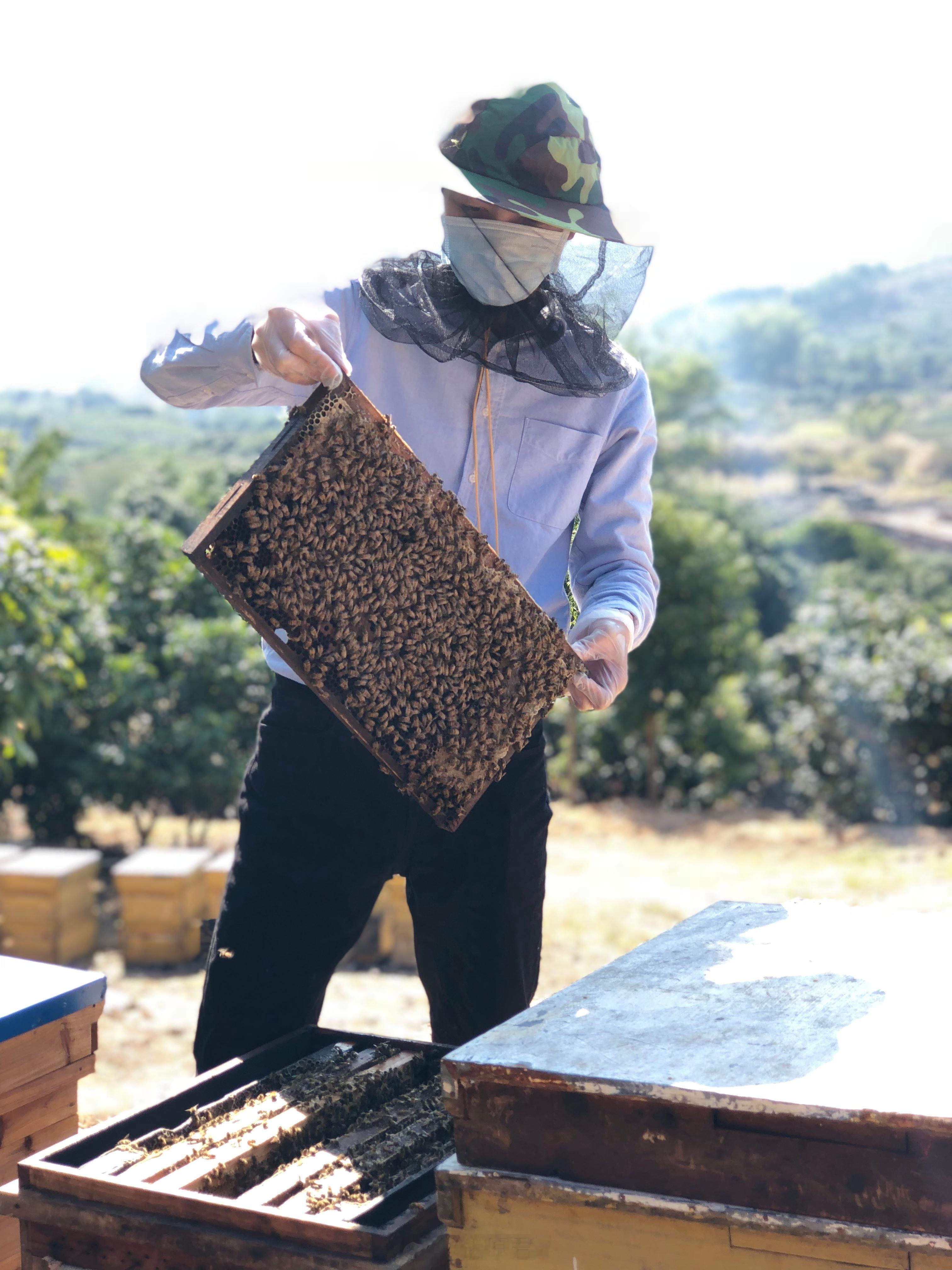 即使带着伤，也要发光地过日子，哪怕是光比较微弱。因为光可以照亮自己，也可以稍微照