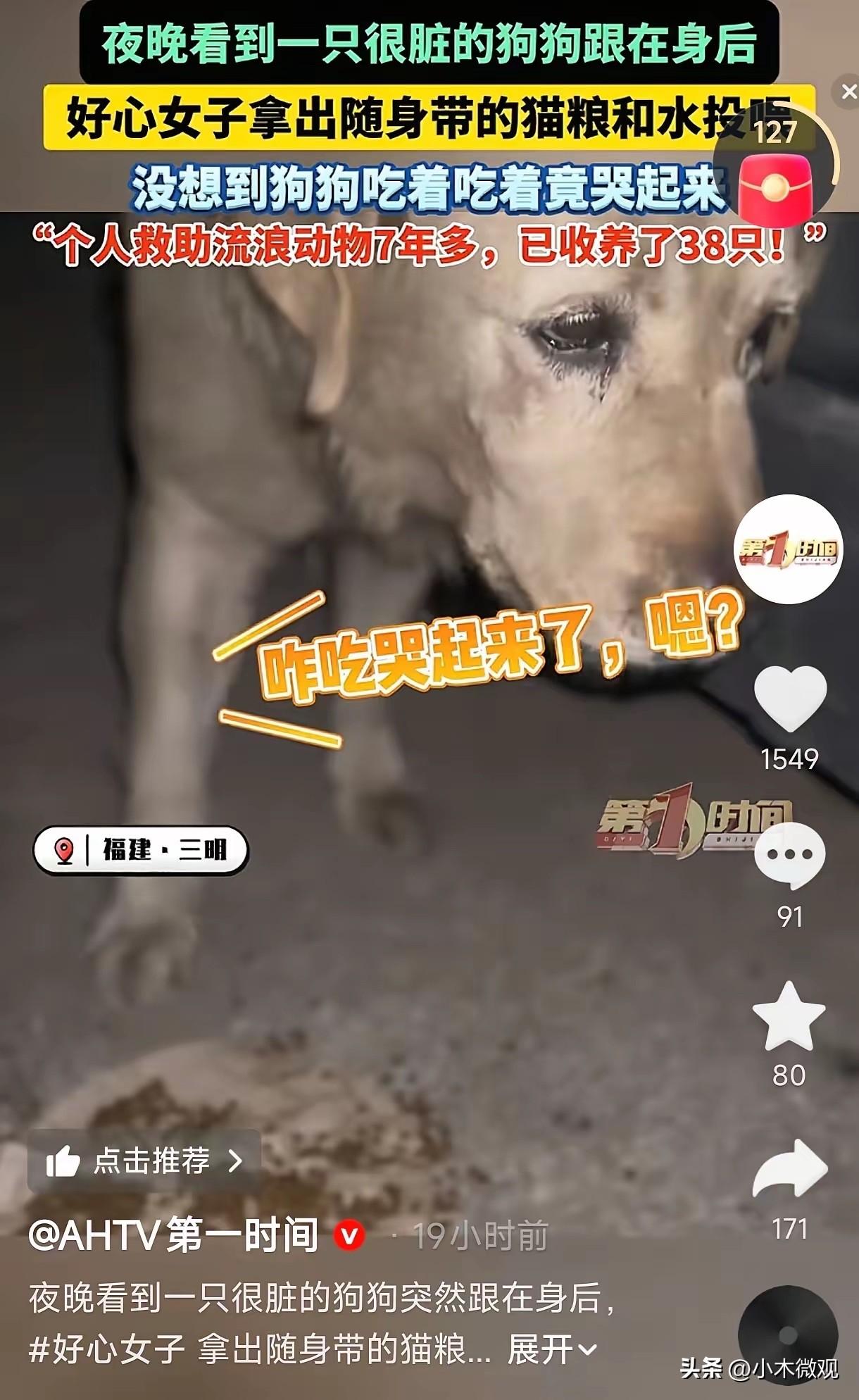 福建一女子深夜路边喂流浪狗，不料狗狗吃着吃着突然呜咽，眼泪从眼角流了下来，女子当