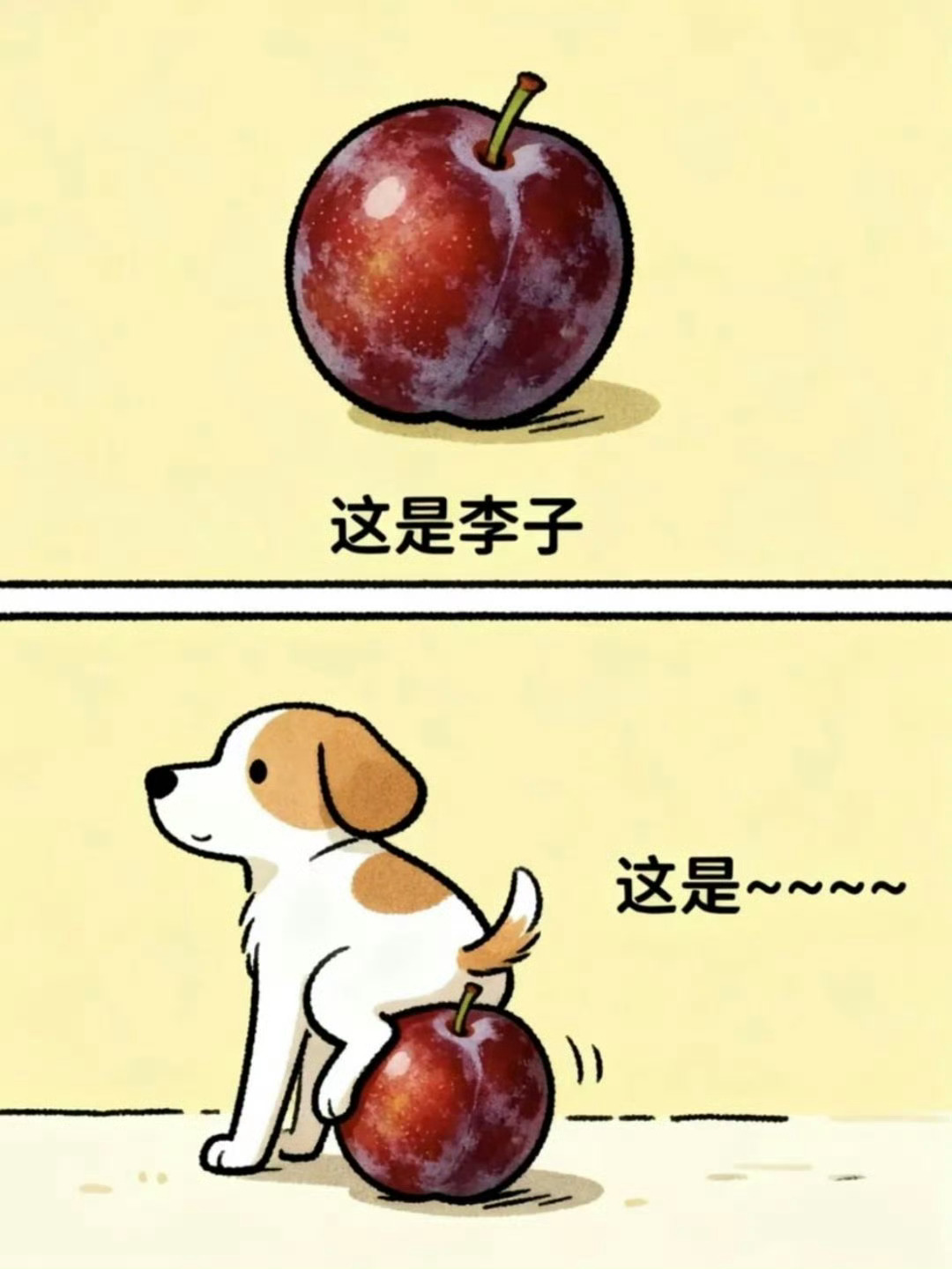 谐音梗考试题 ​​​