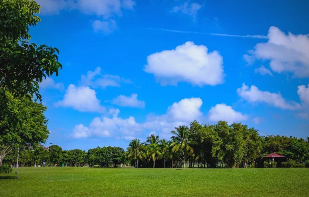 海南财政稳定增长！

2026年1-2月，海南全省地方一般公共预算收入187.8