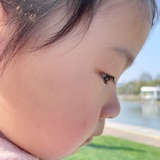 忘机最爱军事