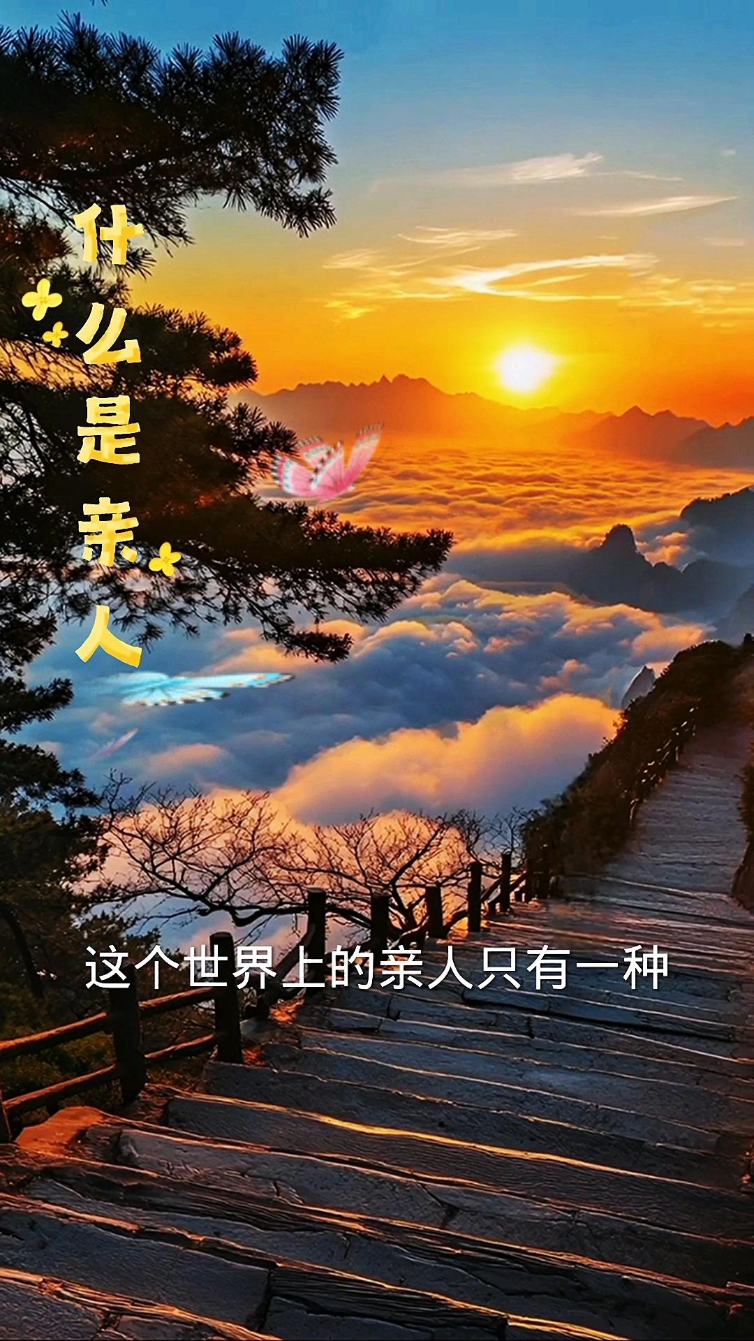 心理学有个扎心发现：我们对陌生人克制，对同事礼貌，唯独对亲人肆无忌惮。血缘不是护