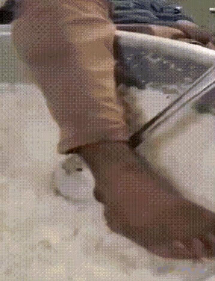 印度一保安毁掉一锅好米饭！

综合媒体消息，印度某学校一名值班保安由于喝醉酒在学