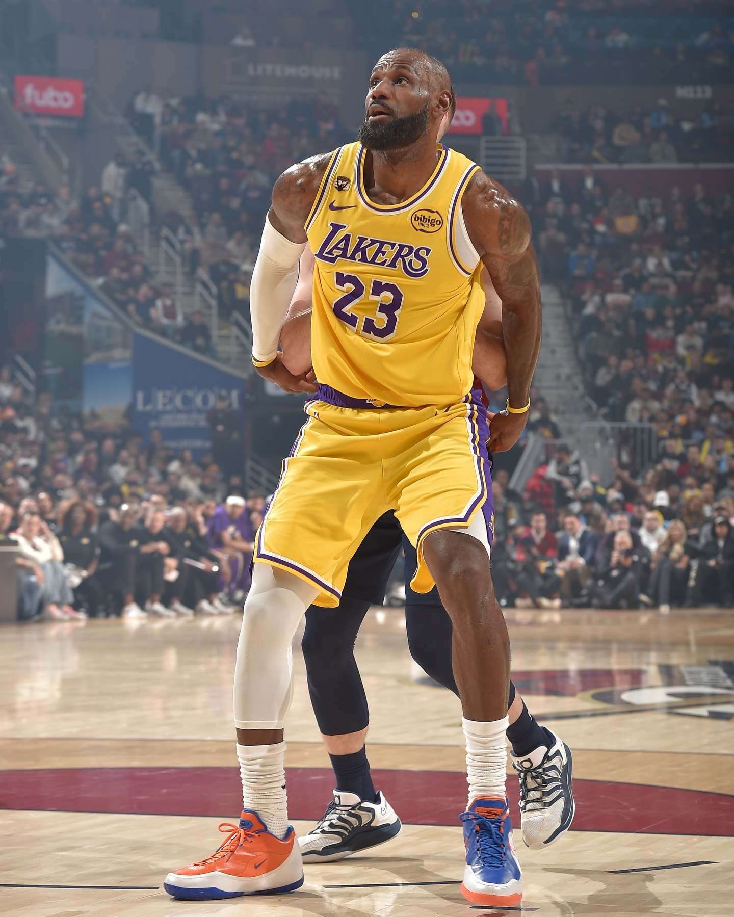 詹姆斯今日上脚的LeBron 23 骑士配色潮流inbox