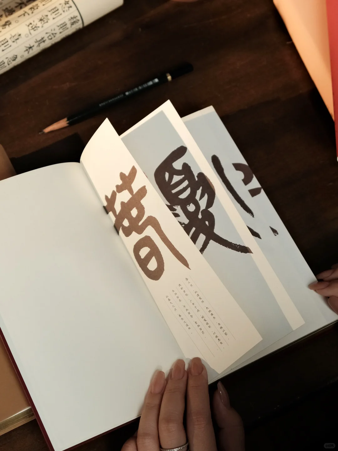 打工人的自救指南｜能养生的日记本！