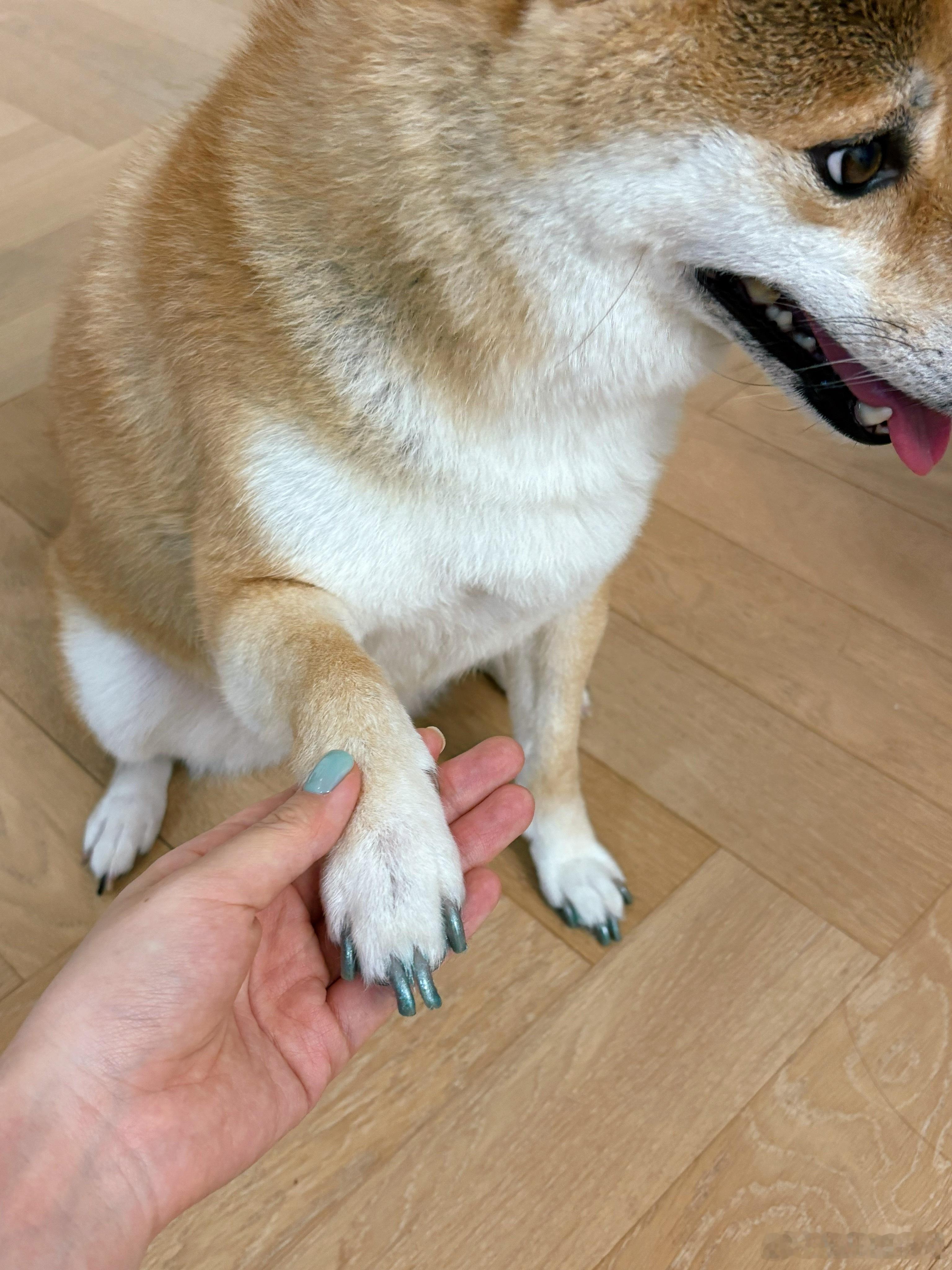 精致💅 