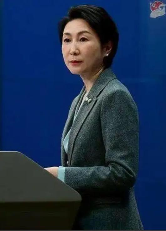 5月25日，针对外界热议的"中国已暂停向日本出口部分稀土产品四个月"的报道，外交