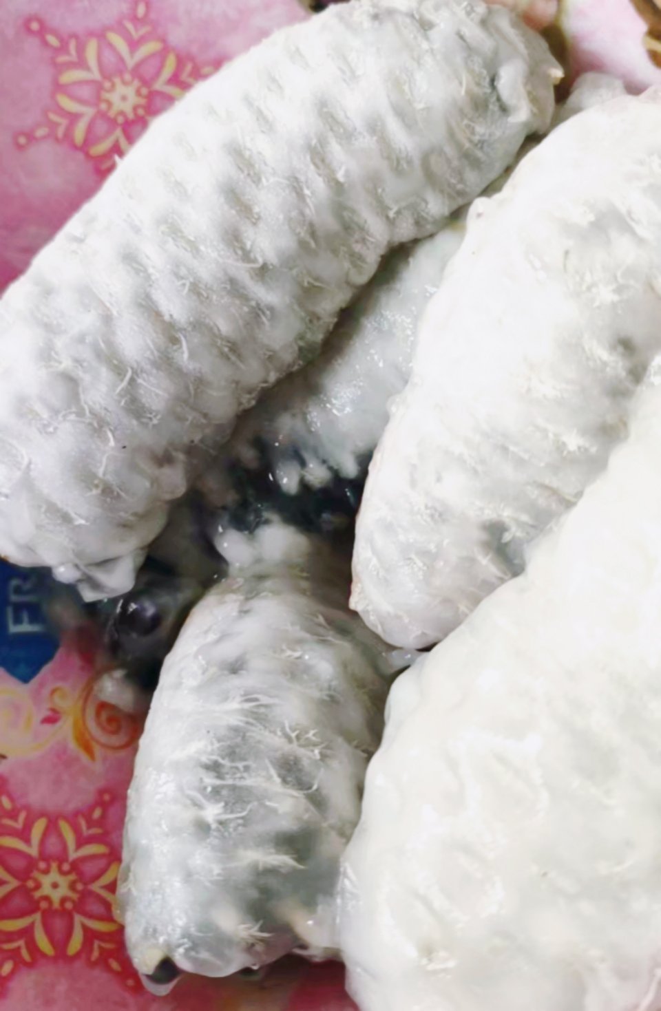 夜宵就吃这个，有没有人不认识这个啊？