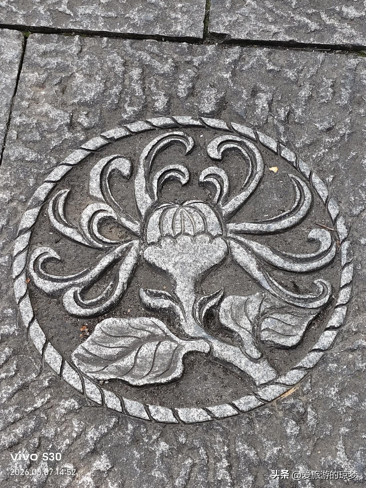 春日生活打卡季