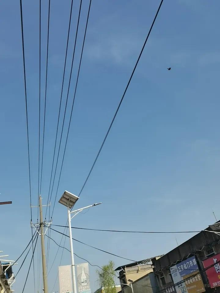 天空湛蓝湛蓝的，如一汪平静无波的湖，如一匹丝滑的绸缎。