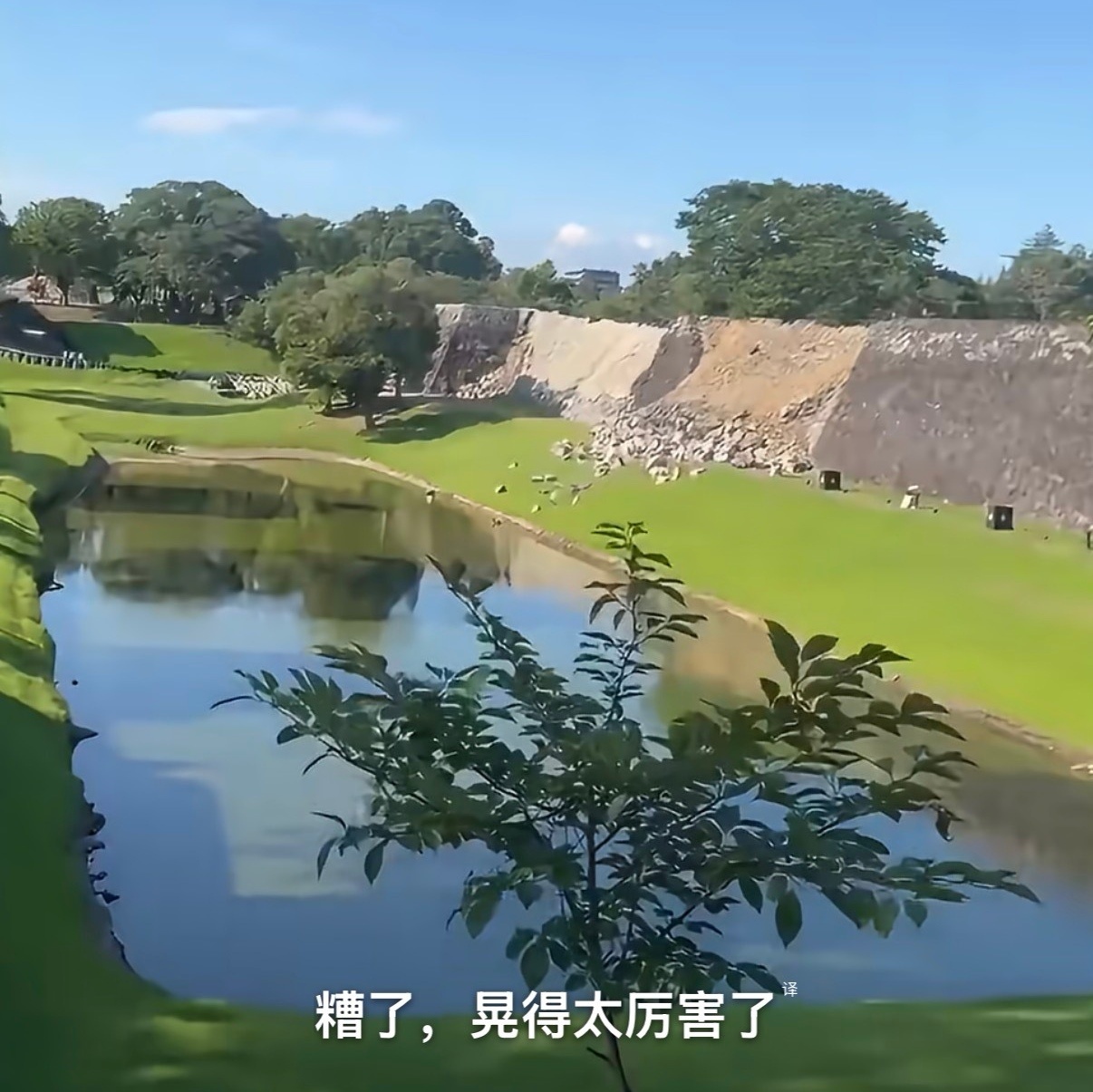 可惜了，才7.1 
