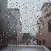 夏天的雨，说来就来，毫无理由可讲！早上起来，天空阴沉沉的，大片的乌云在我眼前飘过