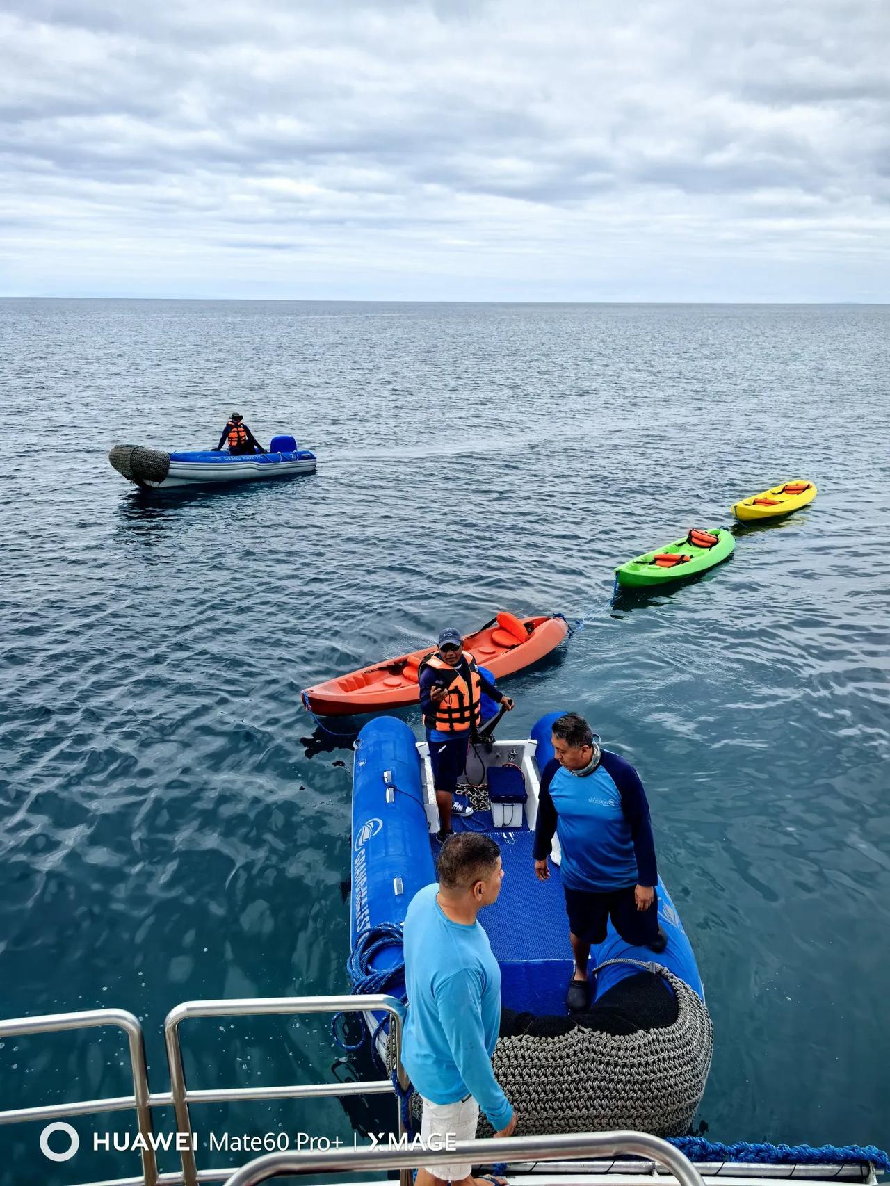 加岛荒岛休闲，海鸟、海豹，皮划艇，加岛邮筒……