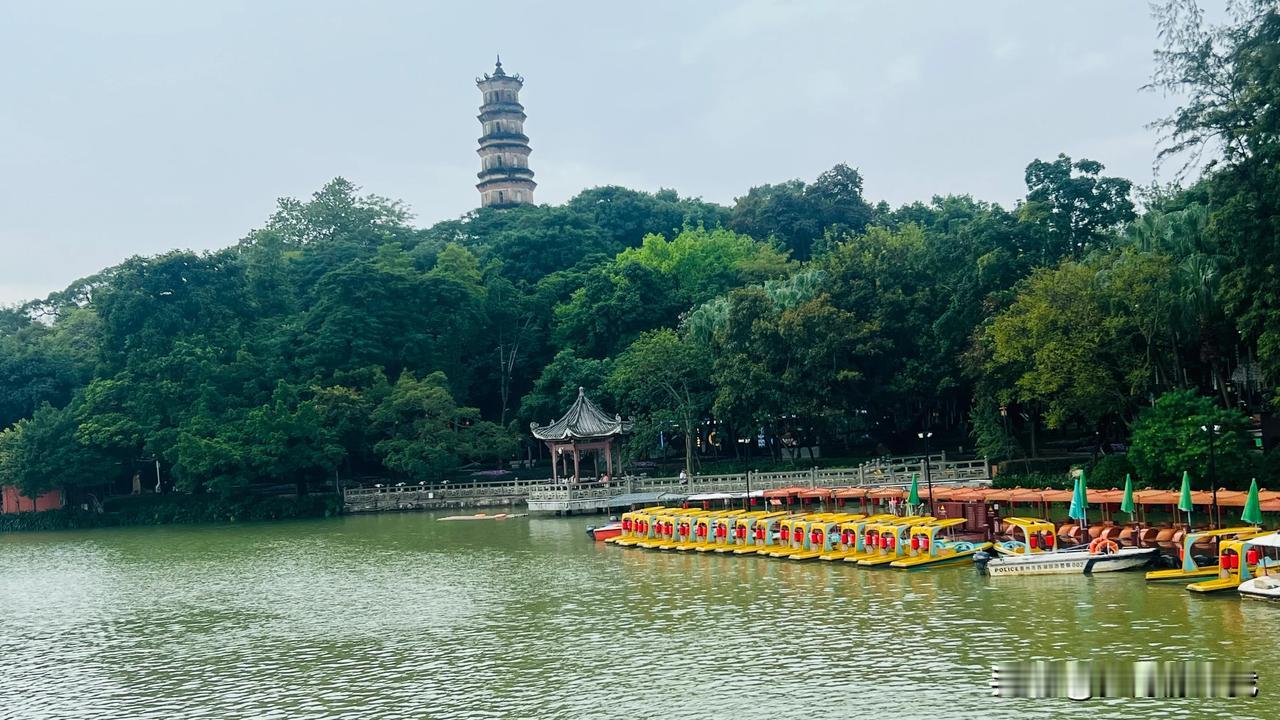 让我感到最可恶的事情就是，在医院、在机场，在车站，反正就是需要排队等候的地方，排
