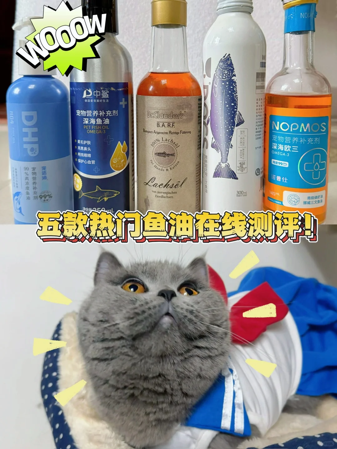 猫奴亲测！效果惊人！