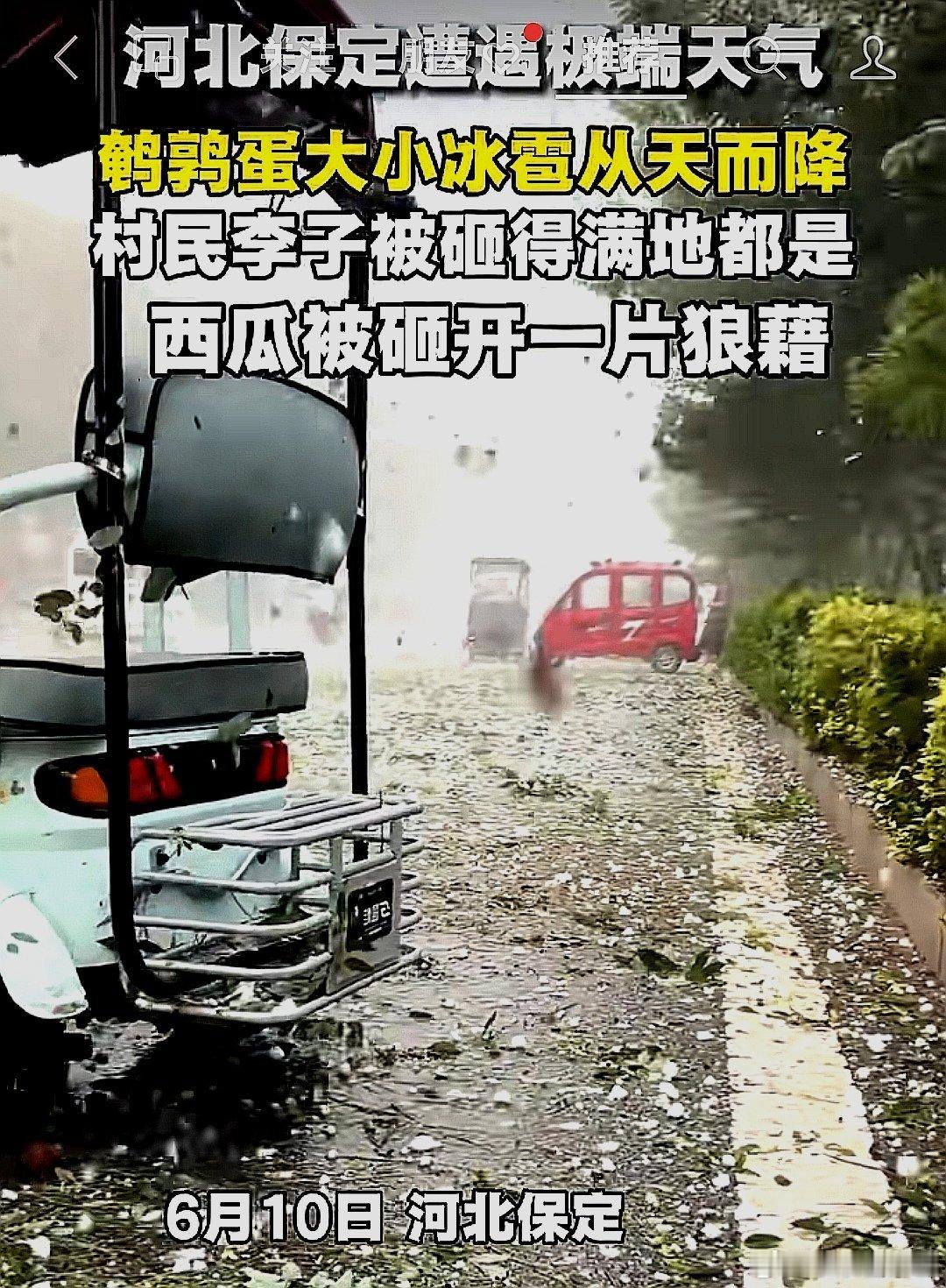 中国大陆河北省保定市多地遭遇冰雹，冰雹有鹌鹑蛋大小，村民的李子被砸得掉了一地，西
