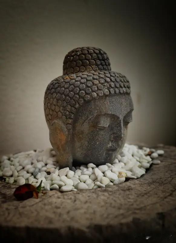 你一旦开悟，洞察到了天道，就会变得心存善念，也会冷血无情。不再轻易渡人，你若强行