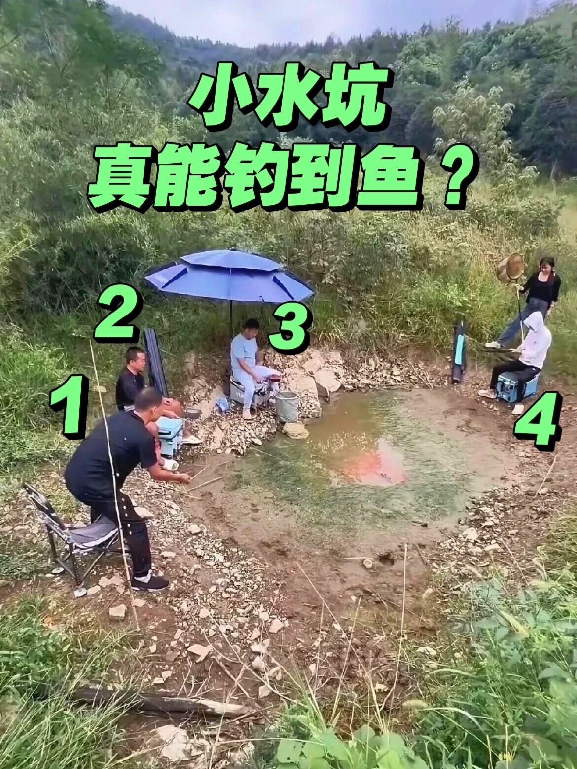 震惊！全网最“卷”钓鱼人：巴掌大水坑蹲守4人，鱼：我是造了什么孽
 
家人们谁懂
