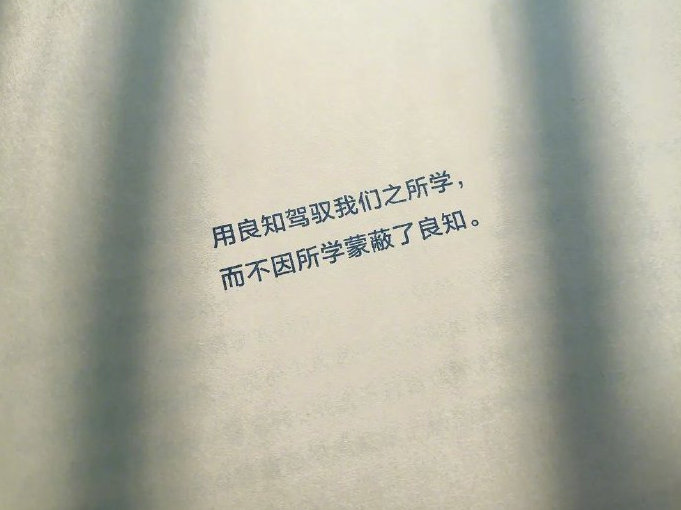 用良知驾驭我们所学，而不因所学蒙蔽了良知。                  —