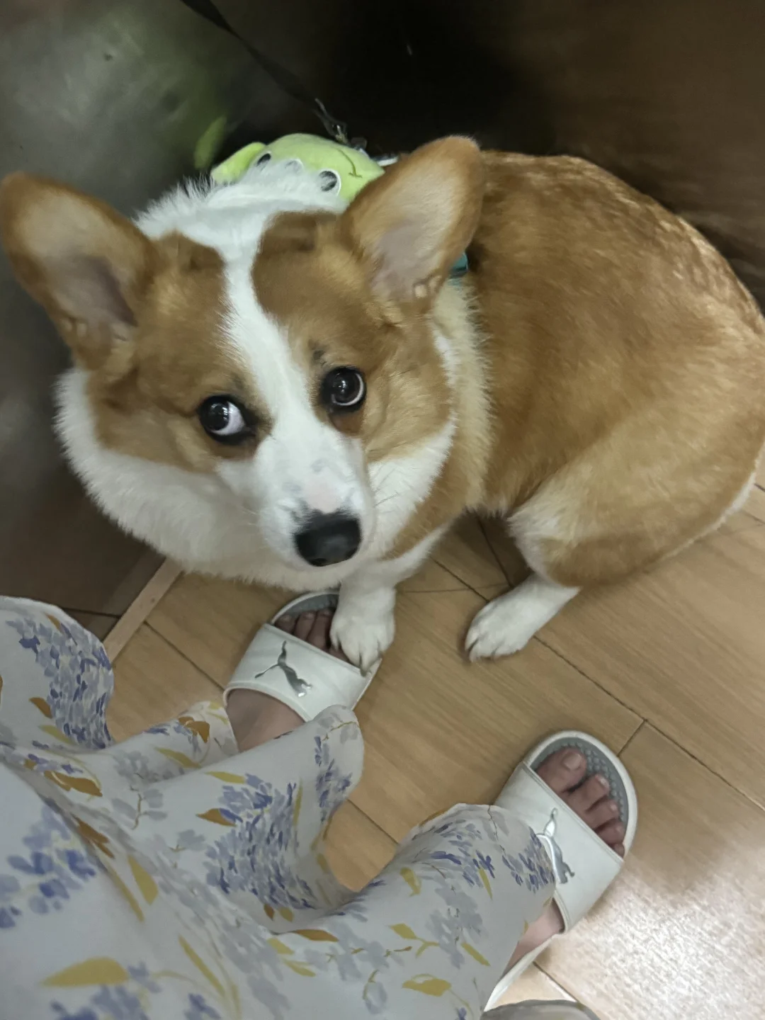 👀麻麻没有发现我踩住了她的jiojio 吧