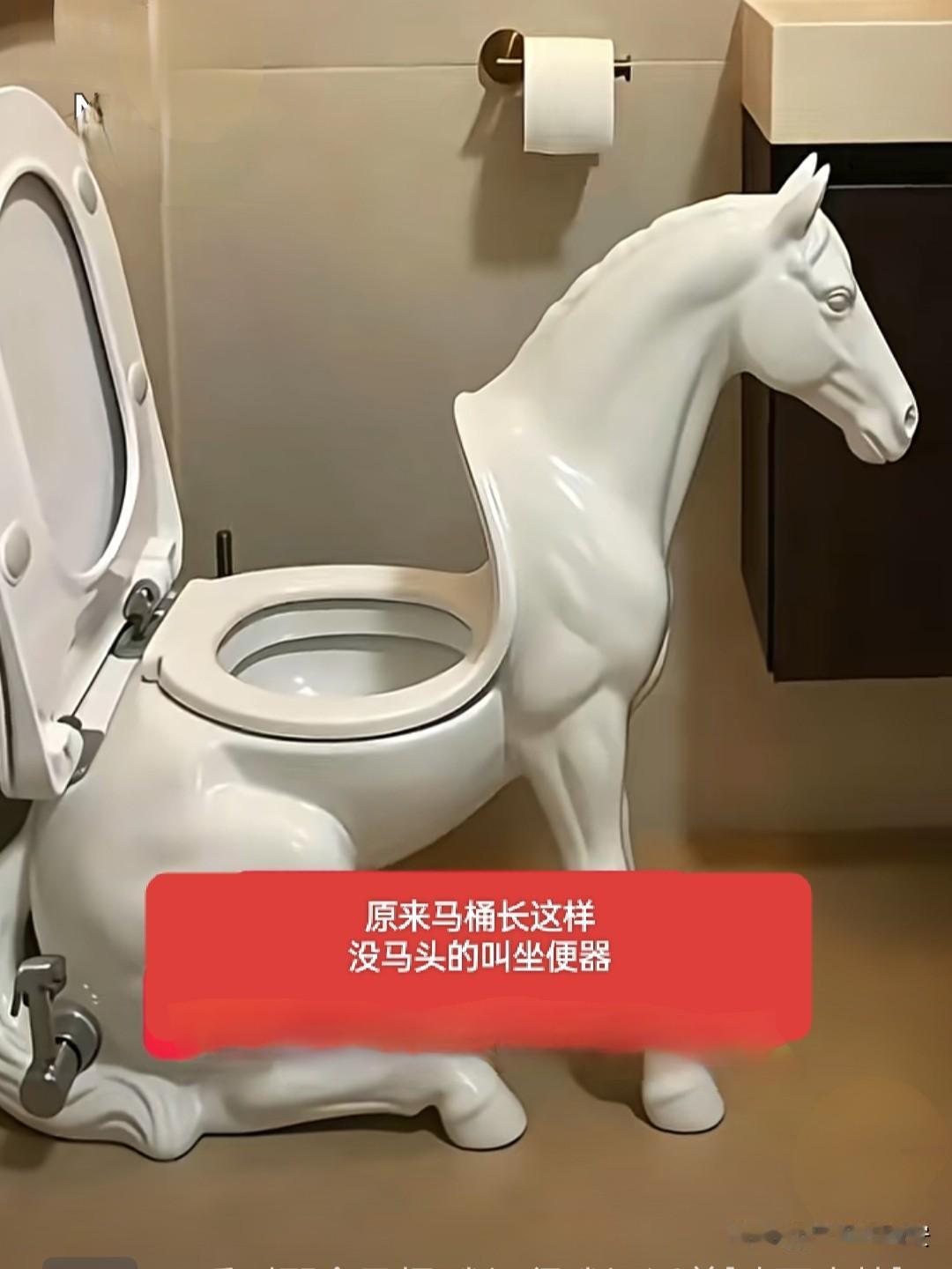 看了别人家的马桶，我才知道自己家的为啥叫坐便器了，原来没有马头的马桶，真的不可以