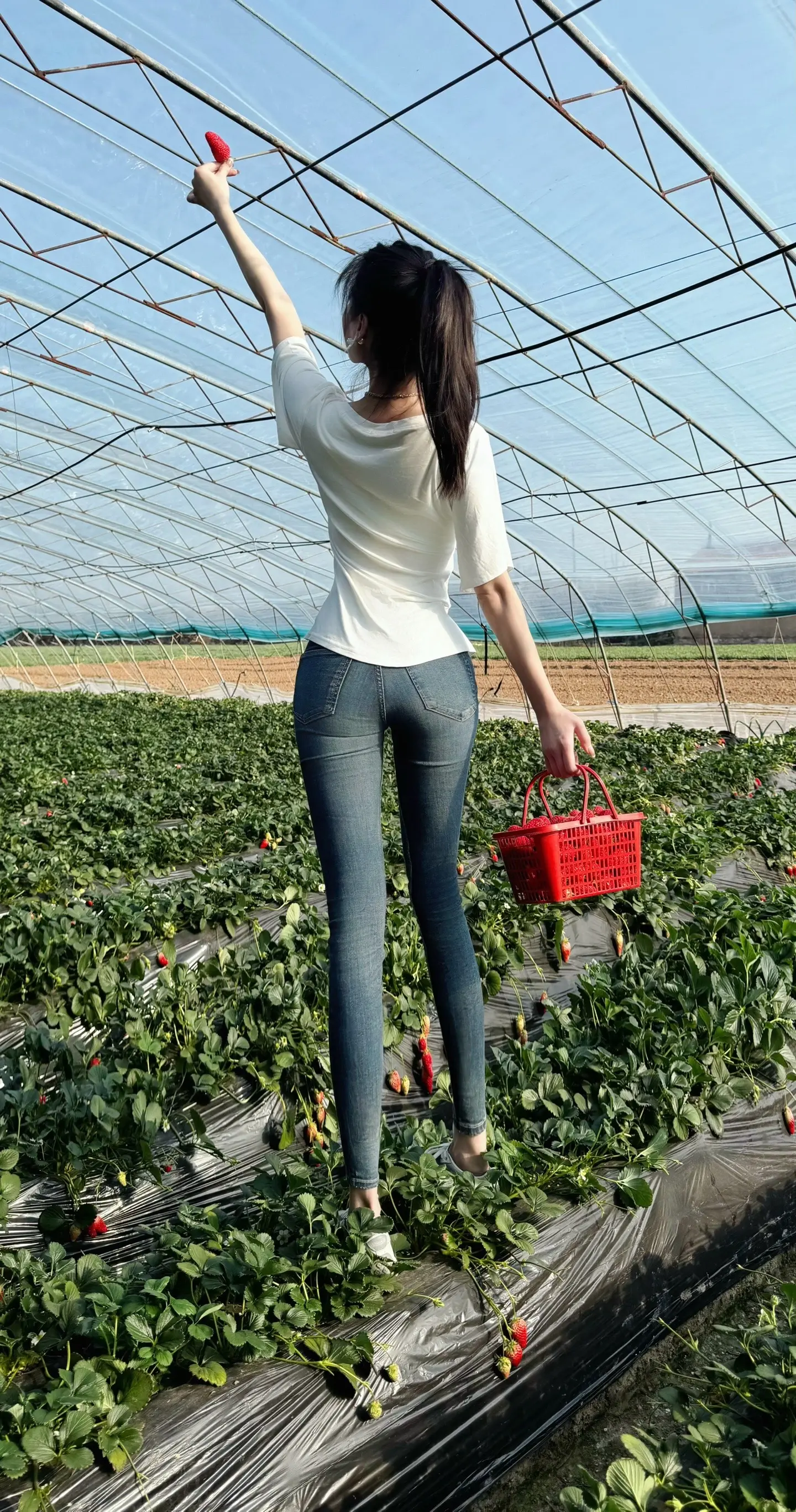 不远不近的欣赏，淡淡的喜欢，这是你最经常说的话。