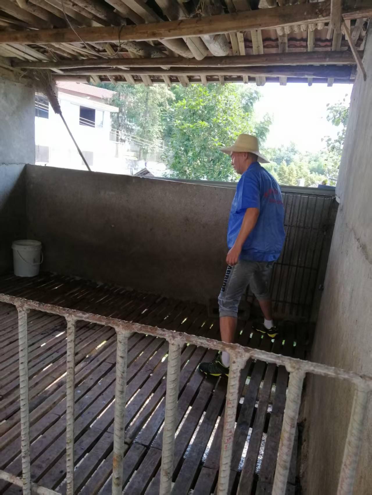总有人问我，新手养羊能不能快速赚钱？在伟艳羊场摸爬滚打这么多年，想跟打算入行的朋