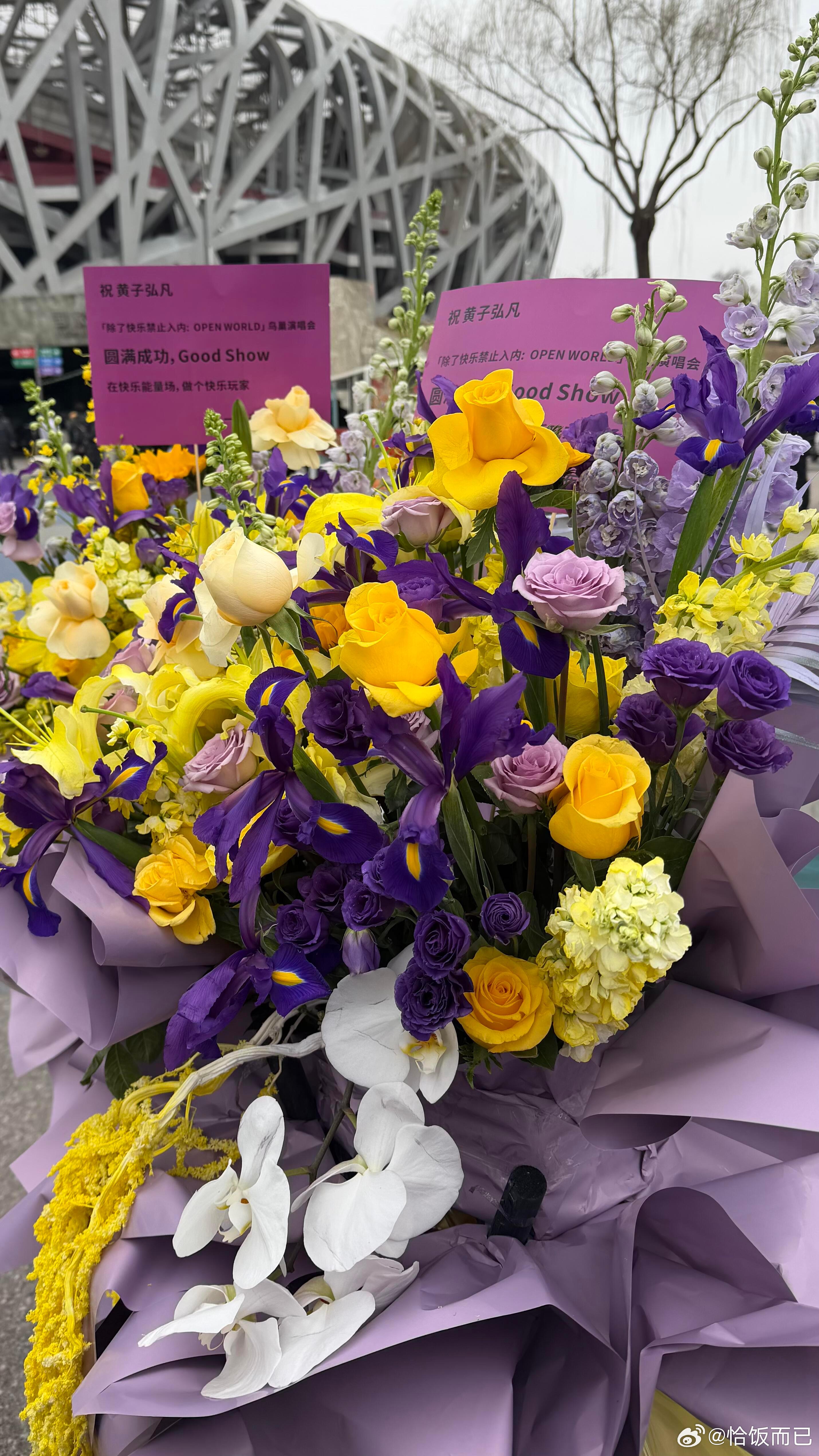 黄子弘凡内娱花篮名人堂黄子弘凡鸟巢演唱会今晚开唱！黄色花海超热闹，圈内好友花篮应