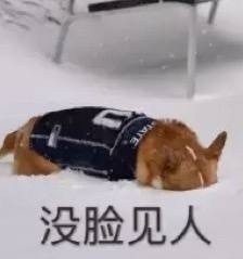 国足再弱也轮不到业余足球挑战 建议国足狠狠教育一下业余队！但是吧，万一要是输了咋