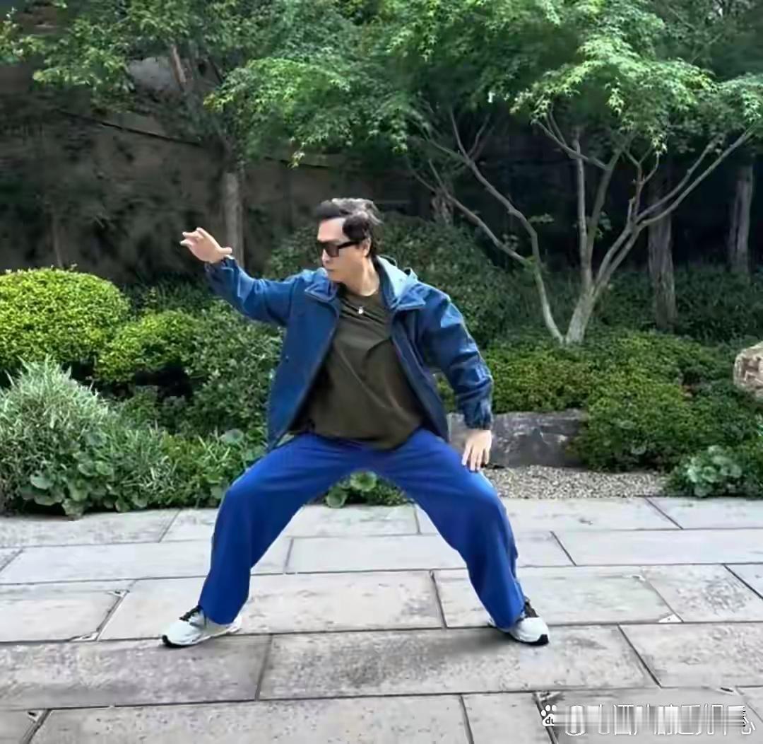 61岁甄子丹杭州晨练，一组太极拳行云流水，身体状态显年轻 ​​​