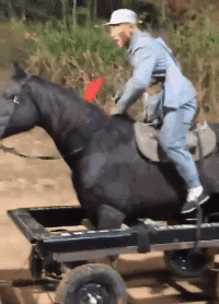 这马做的还挺逼真的