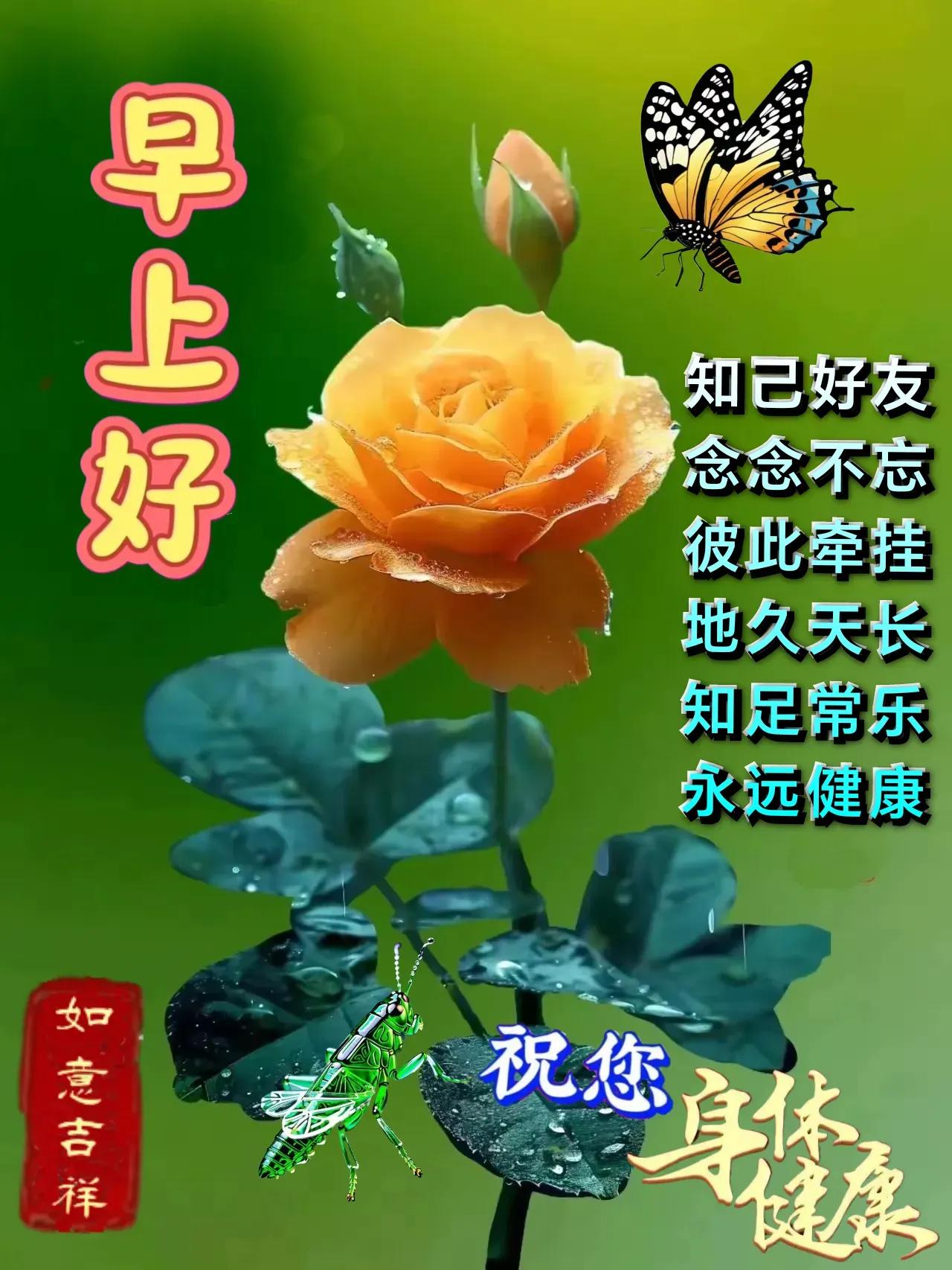 《鹧鸪天·平安寄愿》

生活何须日日蜜，
惟求岁岁自安怡。
相逢不必朝朝伴，
挂