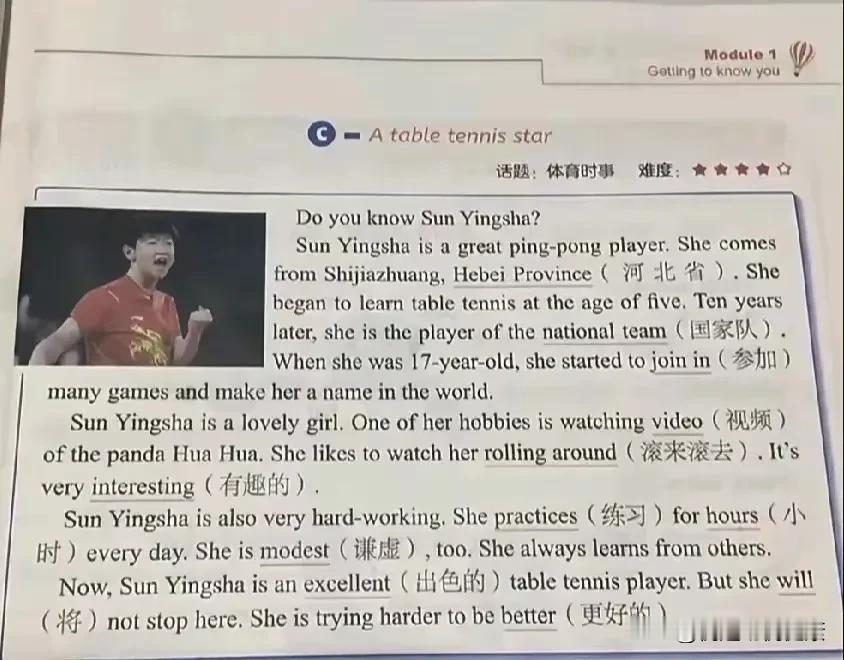 一个人的力量，究竟可以有多大？孙颖莎以其独特的魅力，给出了一个震撼人心的答案。她