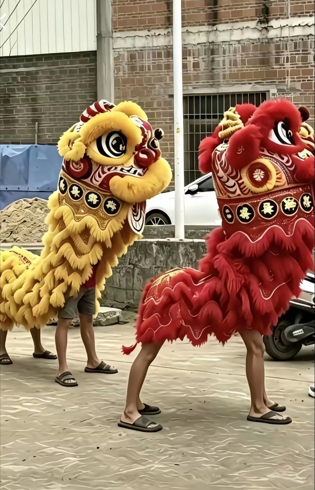 哈哈哈哈哈，很多人讨论了一天，两广网友都说这只能是海南的狮子了 ​​​