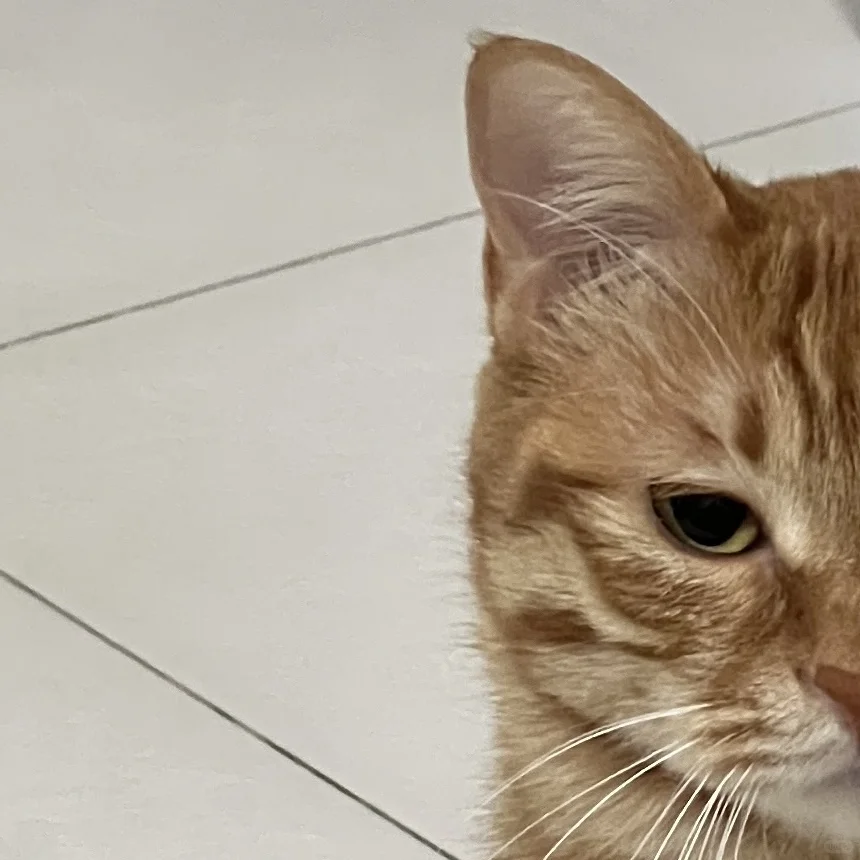 右滑欣赏双面小瓜