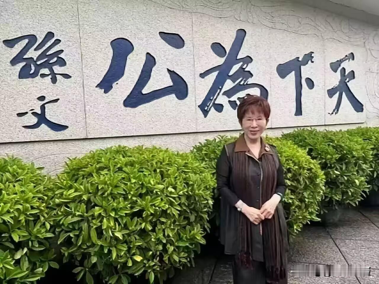 国民党前主席洪秀柱今（15日）在脸书发文表示，今天，我正在广东中山走访台商。看见