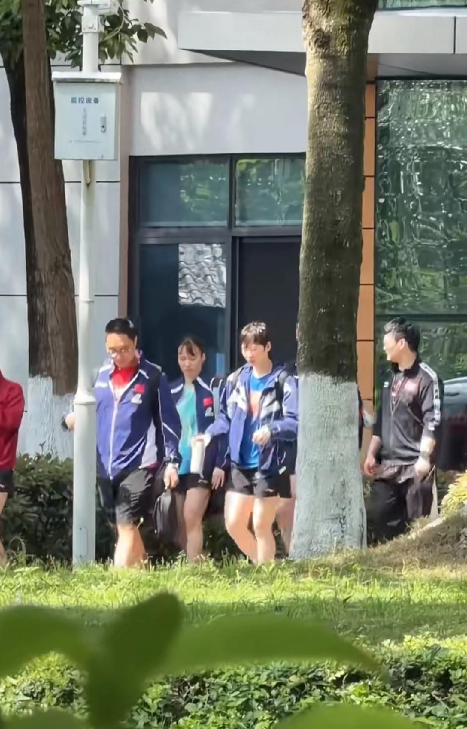 成都封训路透！王曼昱和教练边走边复盘，备战伦敦世乒赛超认真💪
 
刷到国乒女队